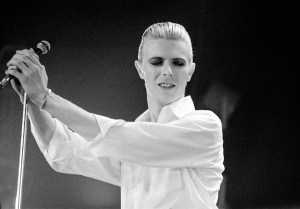 Thin White Duke